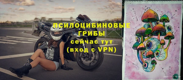 спайс Няндома